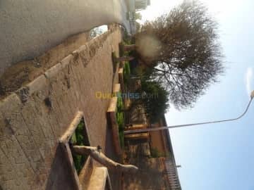 Vente Villa Mascara Mohammadia 3