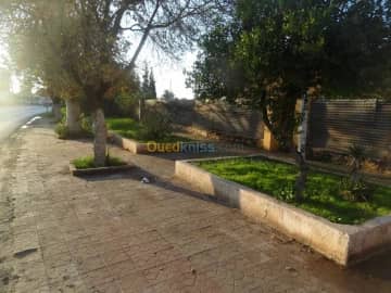 Vente Villa Mascara Mohammadia 9