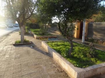 Vente Villa Mascara Mohammadia 12