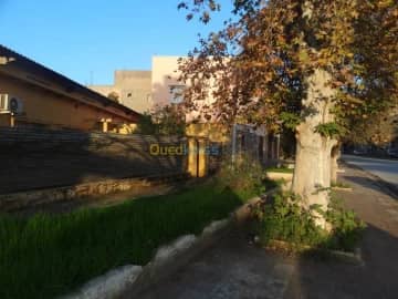 Vente Villa Mascara Mohammadia 16