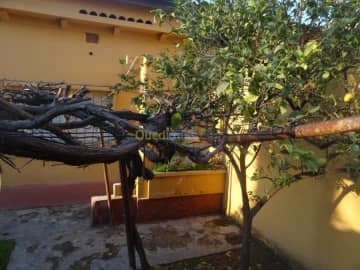 Vente Villa Mascara Mohammadia 8
