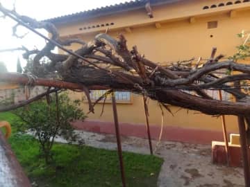 Vente Villa Mascara Mohammadia 15