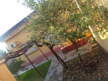 Vente Villa Mascara Mohammadia 11