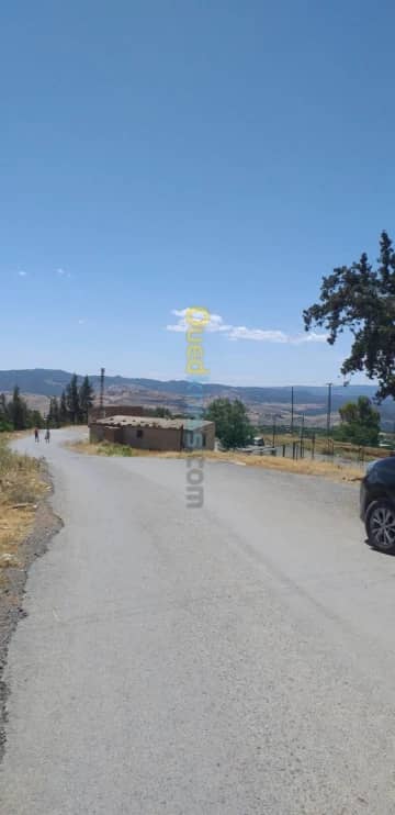 Vente Terrain Medea Bouaichoune 13
