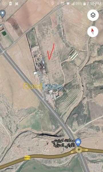 Location Hangar - Usine Batna Batna