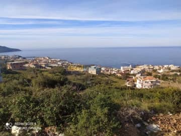 Vente Terrain El taref El kala 2