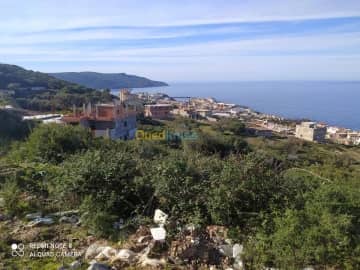Vente Terrain El taref El kala 4