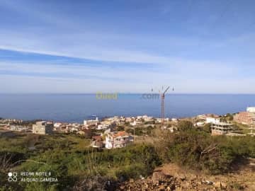 Vente Terrain El taref El kala 6