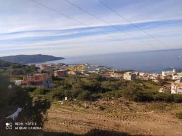 Vente Terrain El taref El kala 3