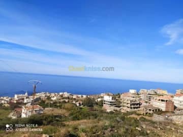 Vente Terrain El taref El kala 5
