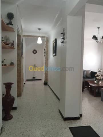 Vente Appartement F3 Chlef Chlef 6