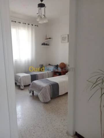 Vente Appartement F3 Chlef Chlef 8