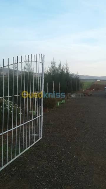 Vente Terrain Chlef Chlef 2