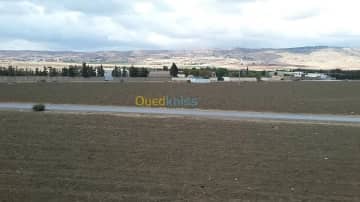 Vente Terrain Chlef Chlef 16