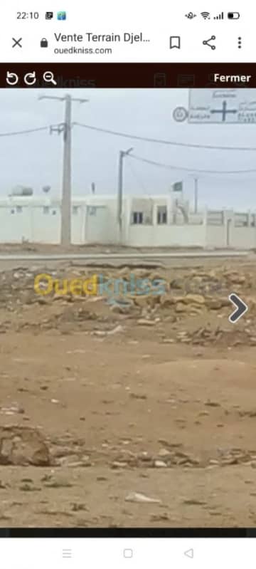 Vente Terrain Djelfa Ain oussara 5