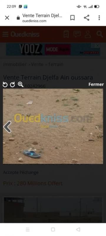 Vente Terrain Djelfa Ain oussara 4