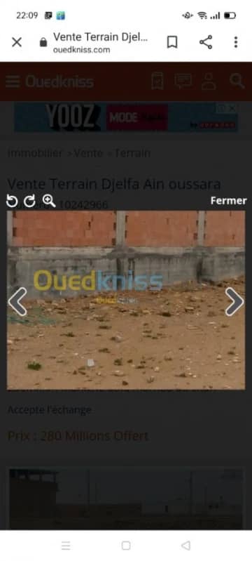 Vente Terrain Djelfa Ain oussara 3