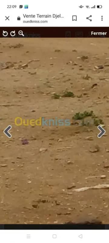 Vente Terrain Djelfa Ain oussara 2