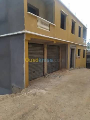 Vente Carcasse Ain defla Miliana 9