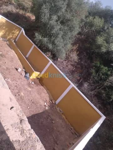 Vente Carcasse Ain defla Miliana 10