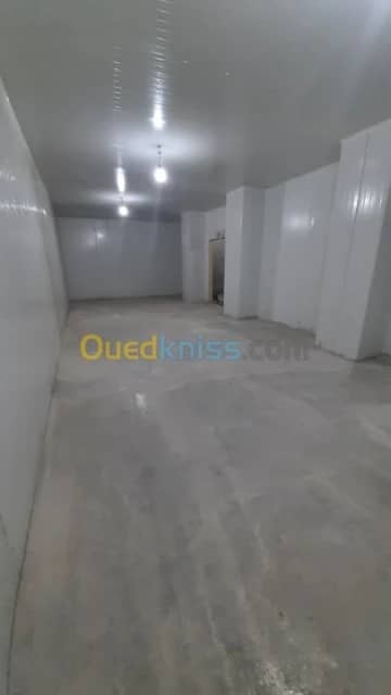Location Hangar Boumerdès Ouled moussa 4