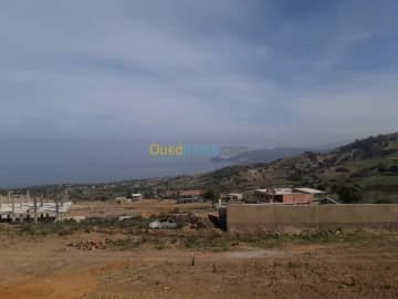 Vente Terrain Chlef Beni haoua 3