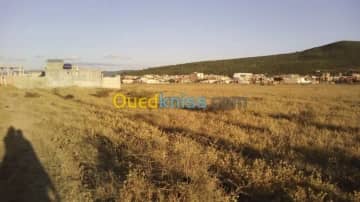 Vente Terrain El taref Ben mehdi 2