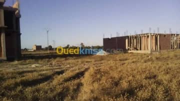 Vente Terrain El taref Ben mehdi 3