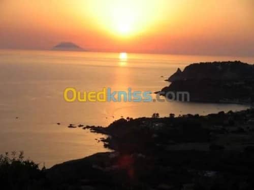 Location Appartement Skikda El marsa 5