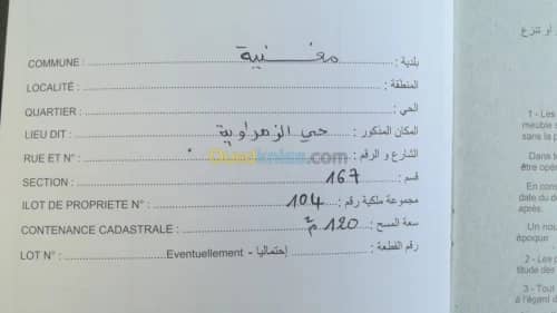 Vente Terrain Tlemcen Maghnia 4