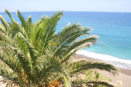 Location Bungalow Béjaïa Bejaia 12