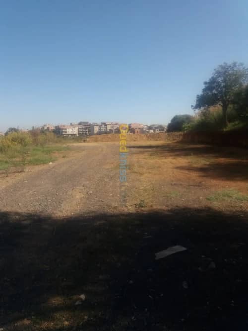 Location Terrain Alger Draria 2