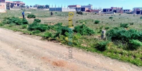 Vente Terrain Tlemcen Honaine 8