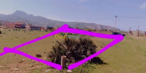 Vente Terrain Tlemcen Honaine 6