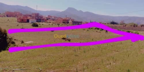 Vente Terrain Tlemcen Honaine 9