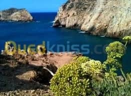 Vente Terrain Tlemcen Honaine 7