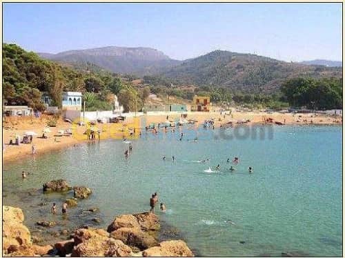 Vente Terrain Tlemcen Honaine 12