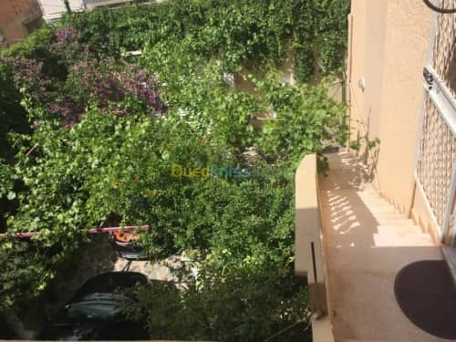Location Studio Batna Batna 17