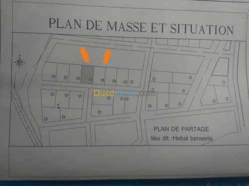 Vente Terrain Mila Mila 6