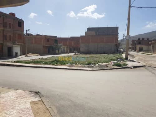 Vente Terrain Khenchela Khenchela 11