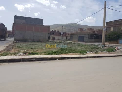 Vente Terrain Khenchela Khenchela 10