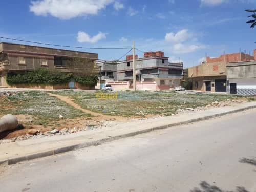 Vente Terrain Khenchela Khenchela 5
