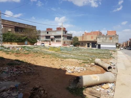 Vente Terrain Khenchela Khenchela 6