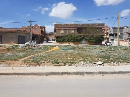 Vente Terrain Khenchela Khenchela 9