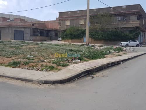 Vente Terrain Khenchela Khenchela 8