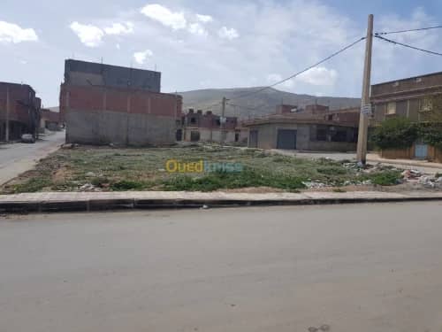 Vente Terrain Khenchela Khenchela 7
