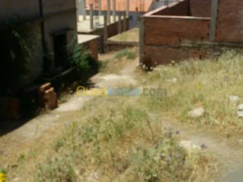 Vente Terrain Ain defla Miliana 5