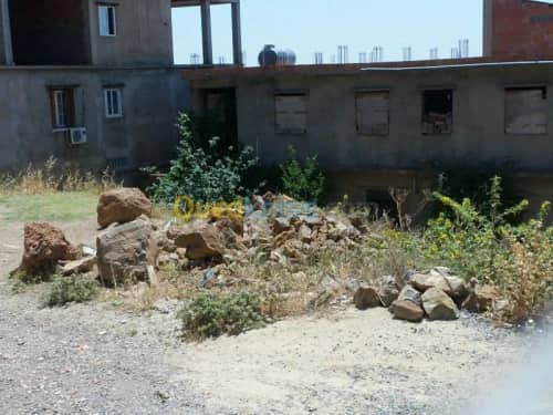 Vente Terrain Ain defla Miliana 7