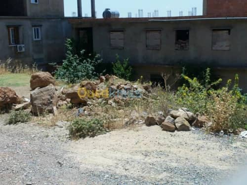 Vente Terrain Ain defla Miliana 6