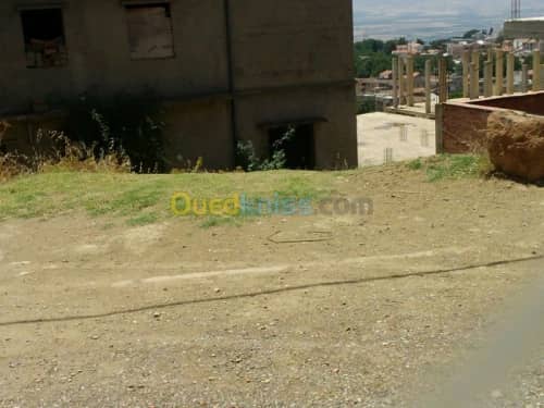 Vente Terrain Ain defla Miliana 3